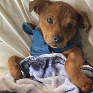 Meet your Posher, Eleanor